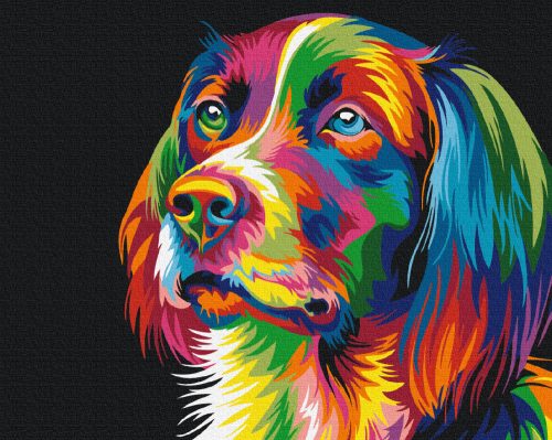 Színes kutya 2 - Számfestő készlet kereten 40x50