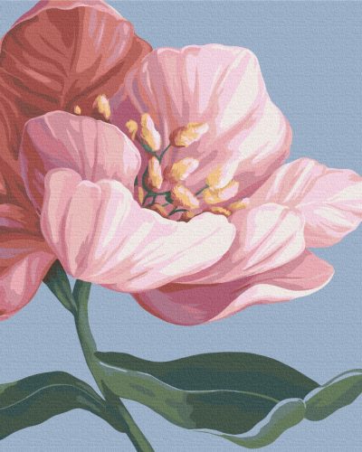 Rózsaszín virág - Számfestő készlet kereten 40x50