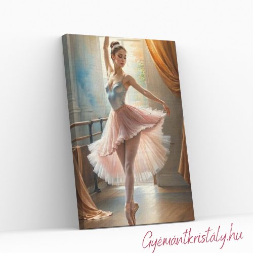 Balerina rózsaszín tüllben - Számfestő készlet kereten 40x50