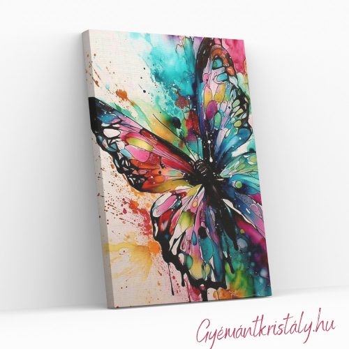 Fröcskölt pillangó - Számfestő készlet kereten 40x50