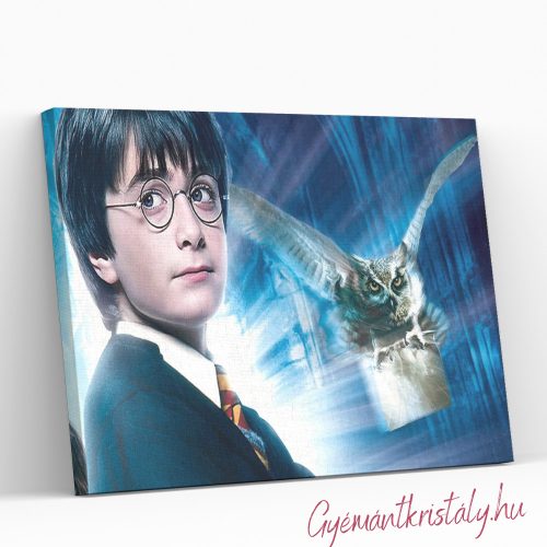 Harry Potter 3. 50x40 cm kör alakú gyémántszemes kirakó
