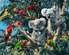 Blinky Bill (koala) 40x50 cm számfestő készlet kerettel
